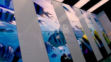 BrightSign & RedStraw Video Wall