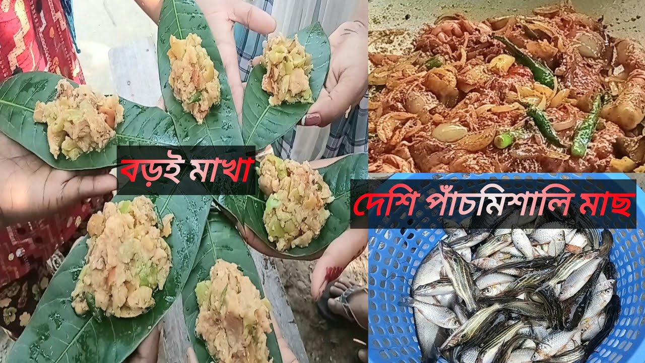 দুপুরে বড়ই মাখা খুব মজা করে খেলাম এবং সারাদিন কি কি করলাম|Village bangla vlog| Village cooking 