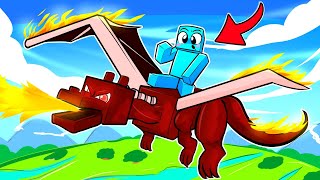 Adoptamos Dragones en Minecraft!