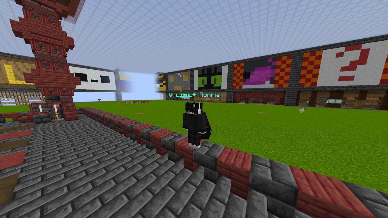 CraftLime Kill Montage (13X Ely)