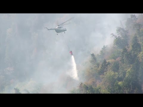 ბორჯომში ხანძრის ქრობის სამუშაოებში სპეციალიზირებული თვითმფრინავები ჩაერთნენ