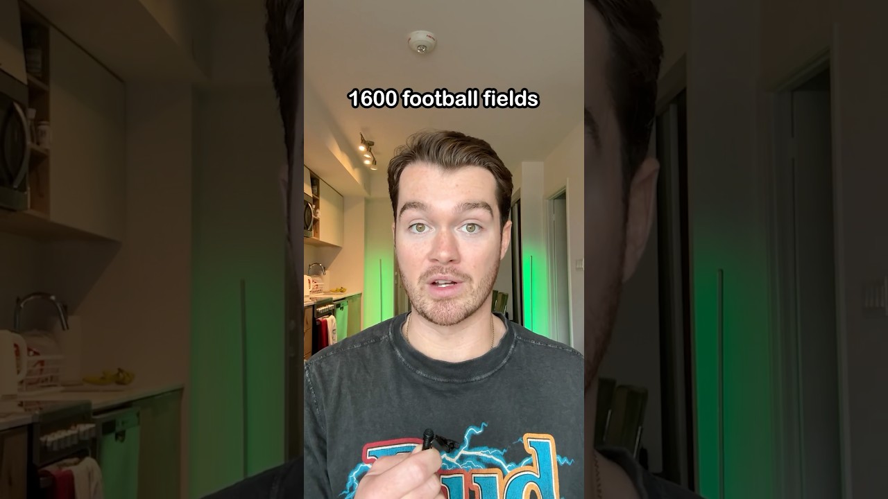 Огромный гриб