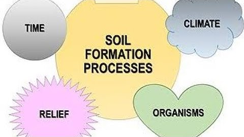 Soil Forming Factors