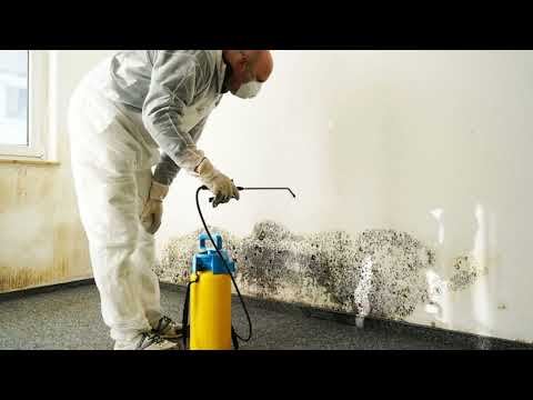 Air Clean Environmental Inc | Lead Paint Abatement in Los Angeles, CA