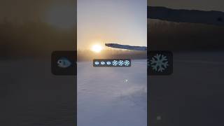 traces on the surface of the frozen lake 🐟❄️#food #cooking #viral #short #winter