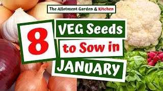 What Veg Seeds To Sow In January Easy To Grow Veg Herbs For A Springearly Summer Harvest