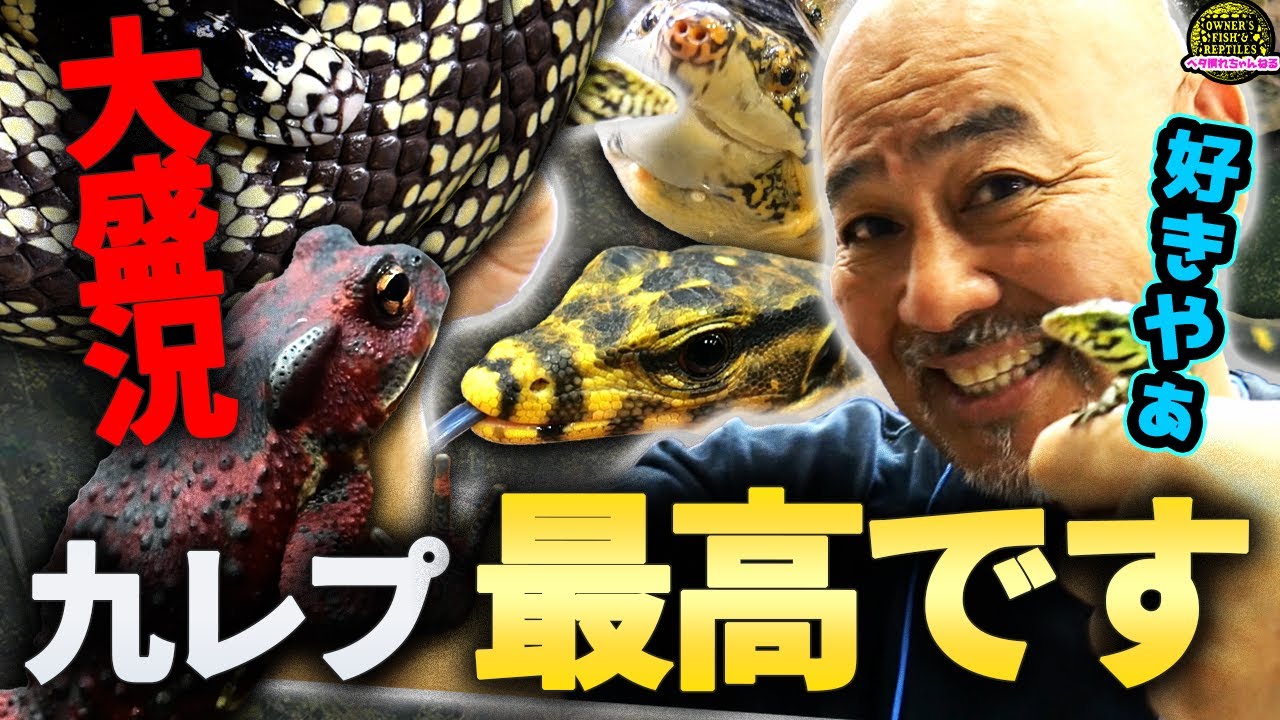 九レプ2025の盛り上がりが凄かった...【九州爬虫類フェス2025】