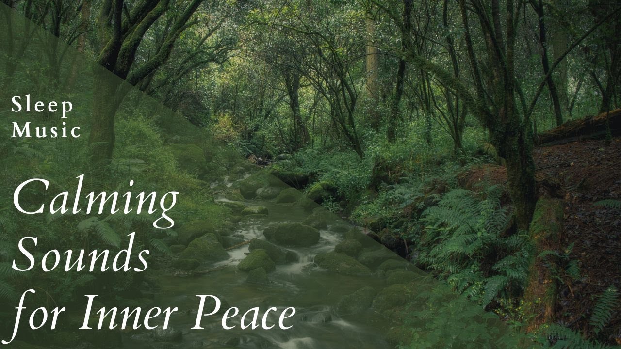 Deep Meditation Music - 1 Hour Mix of Calming Sounds for Inner Peace ...
