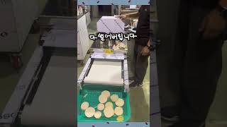 #shorts 테크인코리아 다용도 슬라이스 절단기 (야…