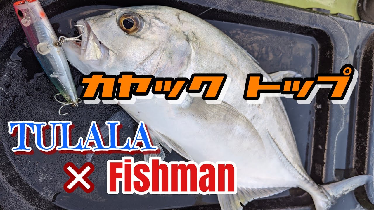 TULALA】ツララ＆【Fishman】フィッシュマン アマゾンロッドとアジング