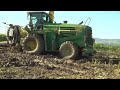 Ensilage  mais 2024 suite