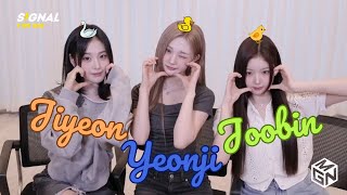 ENG SUB] tripleS SIGNAL LIVE 250618 (Yeonji, Joobin, Jiyeon