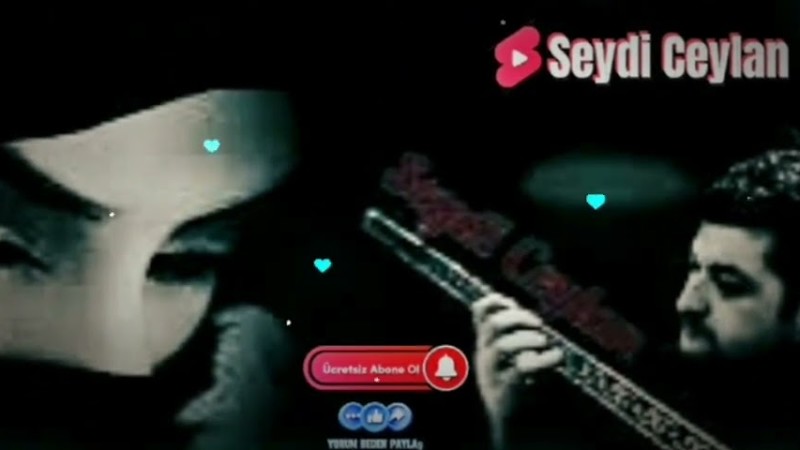 Bunca Gamı Bunca Derdi (Erisin Dağların Karı) - Seydi Ceylan (Elektro Bağlamalı)