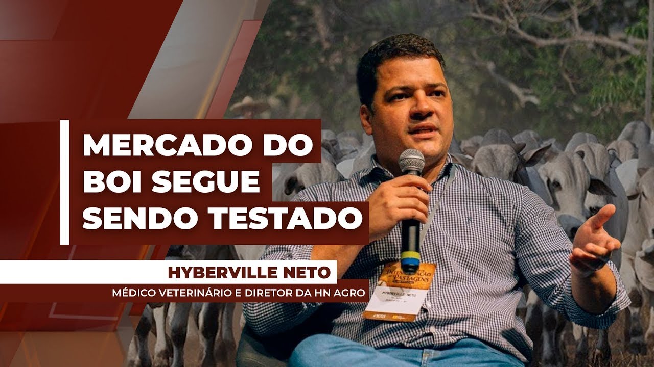 Frigoríficos seguem testando pressão de baixa nos preços da @ do boi, com margem no maior patama...