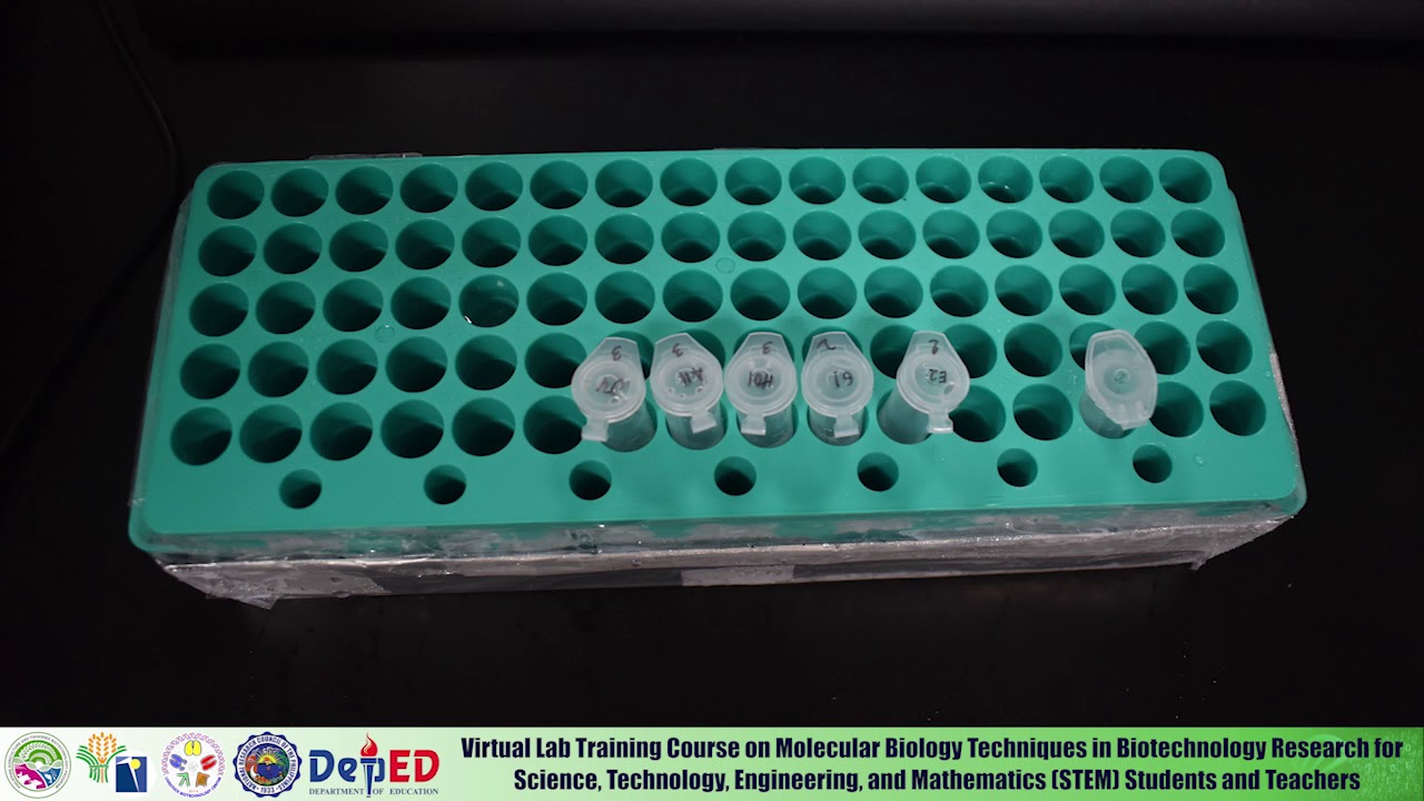 05. Virtual Molecular Biology Training - DNA Quantification and Qualification (Spectrophotometry)