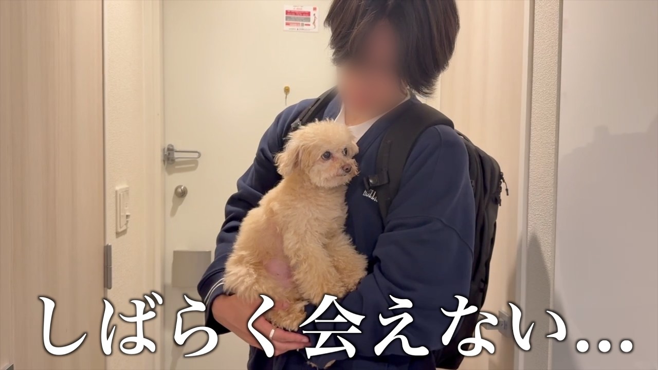 実はしばらくの間、愛犬と離れて暮らします。