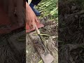 DIY Foot-Operated Garlic Root Cutting Tool | Fast Garlic Harvest Hack