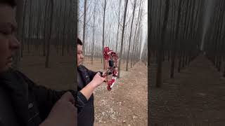 50m — Steel & Arrows Both Hit 🎯 #fyp #fhishing #testing #archery #sports #outdoors #lifestyle