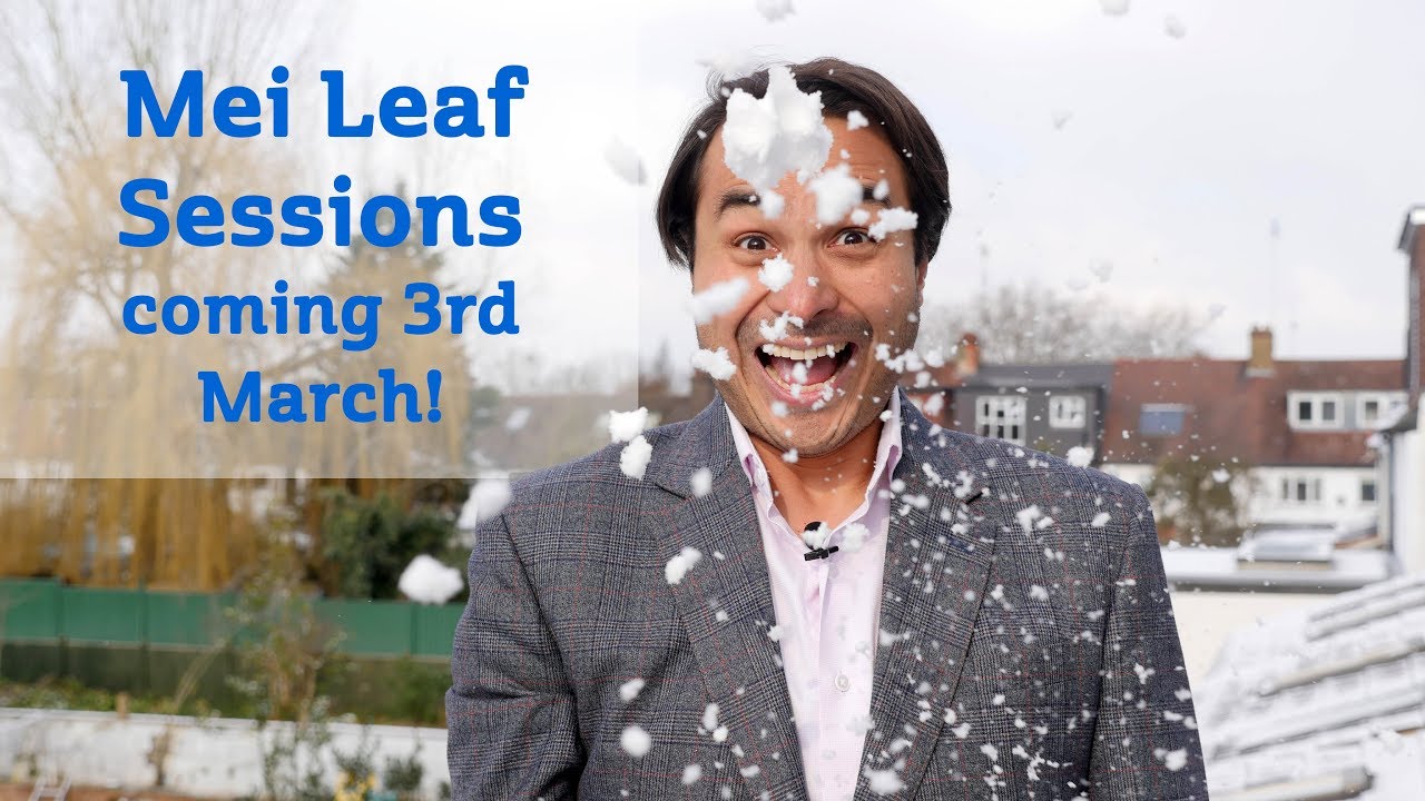 Mei Leaf Sessions 7 Teaser YouTube