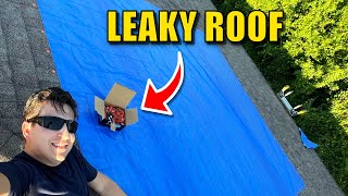 How to Install a Tarp on Roof by Daddicated 1,063 views 7 months ago 1 minute, 23 seconds