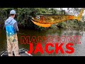 Mangrove Jack Snag Bashing  + NEW LURE ANNOUNCEMENT!!