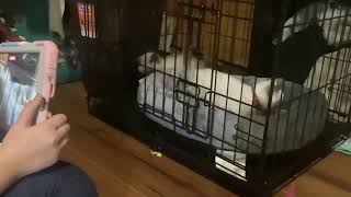 Daily Clog Day 2 The New Era Begins