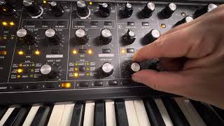 Stephan Bozin - Singularity preset - Moog Sub 37 #moog #sub37