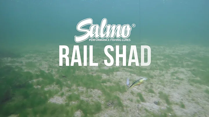 Salmo Rail Shad Underwater Action