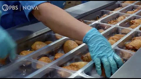 The Hidden Cost of Hunger in America | NOVA Science Studio