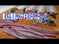 この方法なら簡単にウナギが捌けます!!!　　釣ったウナギの捌き方　【うなぎ捌き】