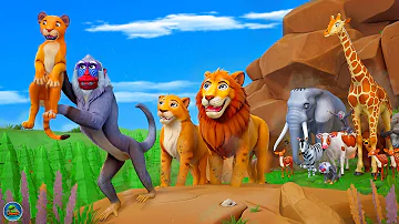 The Lion King | Monkey Rescue Baby Lion | Ultimate Recap Cartoon - King Lion Searching for Baby Lion