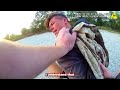 “8 Officers Hit by Bear Spray as Arrest Turns Chaotic”