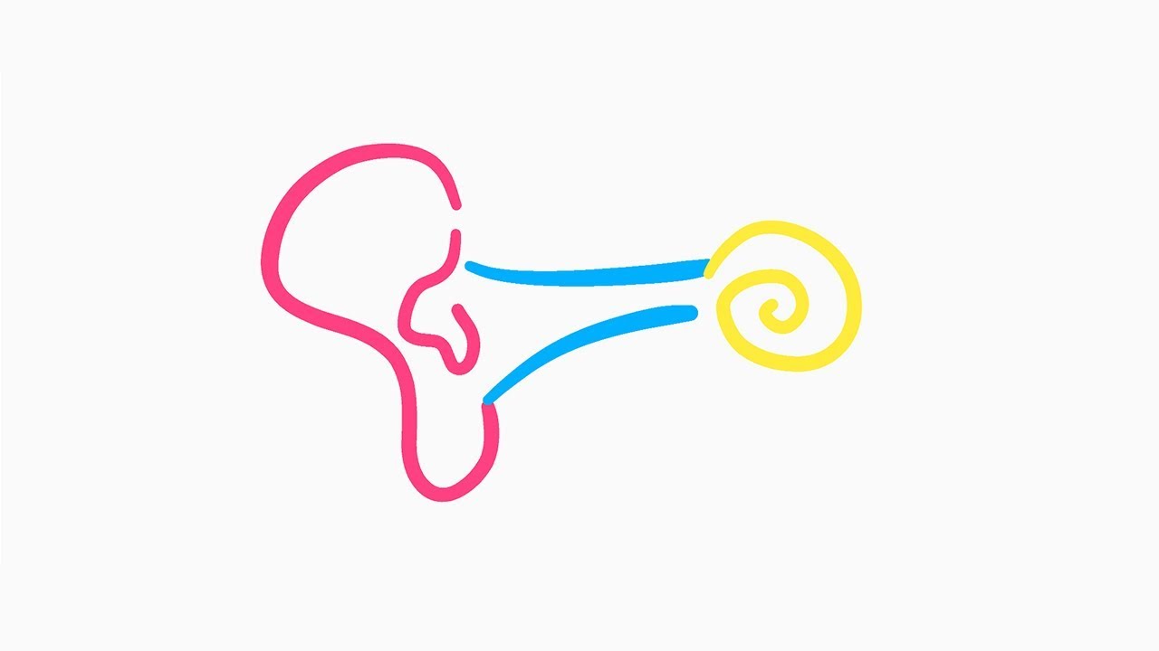 🔴 L'EXPLICATION LA PLUS CLAIRE DE L'AUDITION !