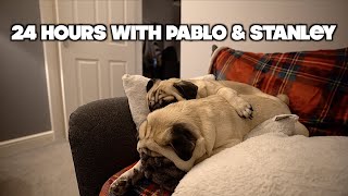 A Day in the Life of Pablo & Stanley ..