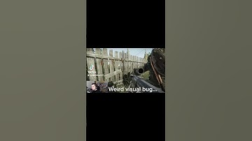 Weird visual bug in escape from tarkov #tarkov #escapefromtarkov #gaming #battlestategames