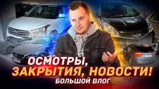 Скрутка Пробега На Корейцах / Поиск Мазда 6 В Разные Бюджеты - Vlog