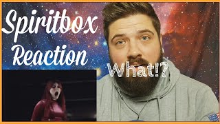 Spiritbox - Rule Of Nines (Reaction)