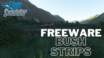 5 Neat Bush Strips for MSFS