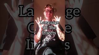 The Language Of The Insects Asemic Trap Music - Tatiana Roumelioti 9 August 2023