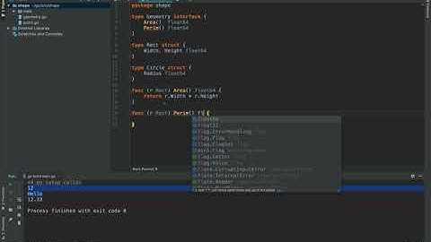 【Go语言教程】09 Go 语言 Interface 接口的运用