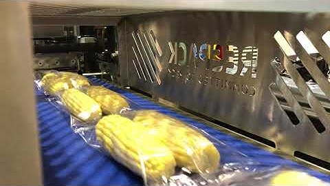 Reepack ReeFlow 50 Rotary Motion Flow Wrapper Packaging Double Corn Ears in Clear Film