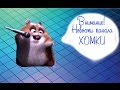 Новости канала "Хомки" 02.12.16