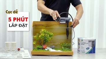 LẮP ĐẶT NHANH BỂ CÁ ĐỂ BÀN CAO CẤP AQUAP