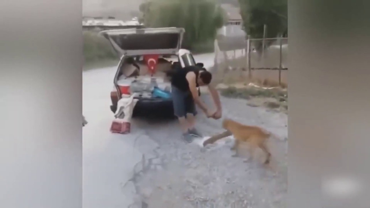 Спонтанное проявление доброты - YouTube