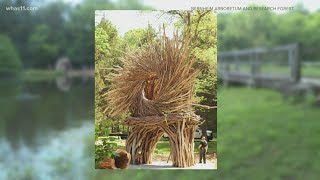'Spirit Nest': Bernheim Forest has new art installation in just opened playcosystem