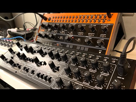 BEHRINGER CRAVE PRO-1 & RD-8 DEMO