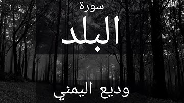 سورة البلد / وديع اليمني