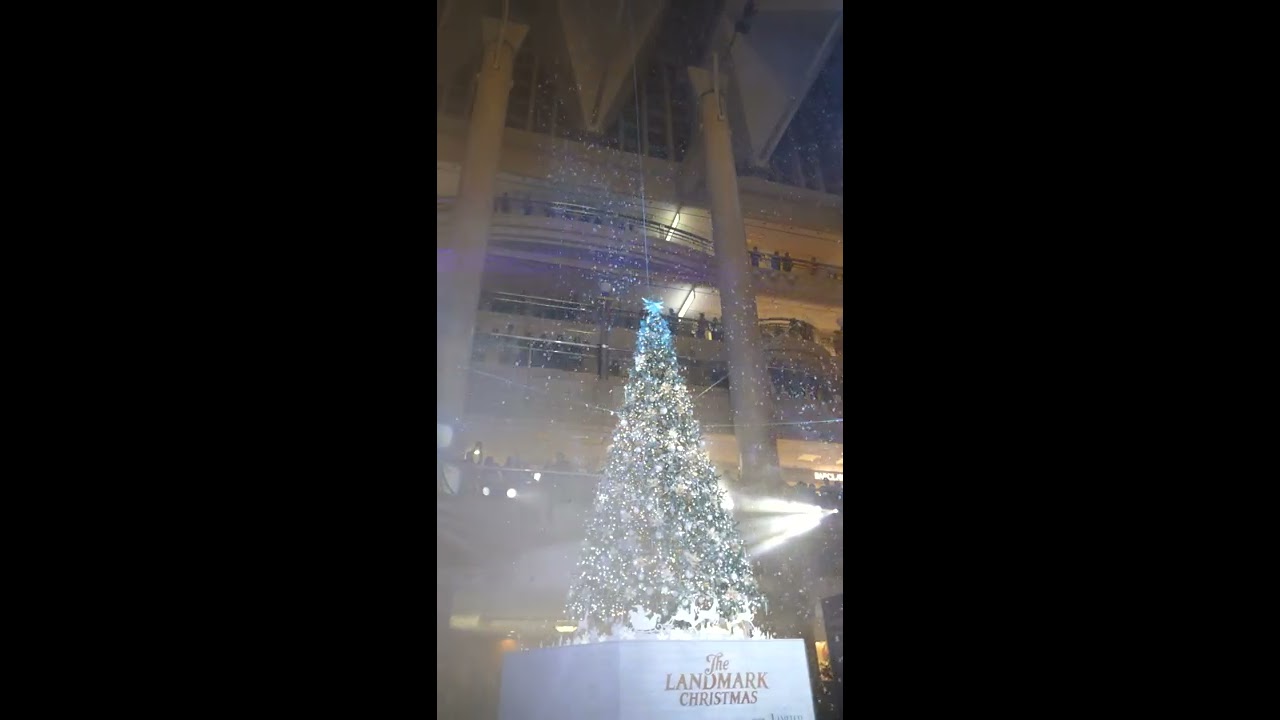 Scene from Merry Snow Christmas at Yokohama Landmark Plaza [RAW VIDEO] japanese food