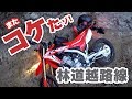 マジ泣きそう。林道越路線を走ってきた！【CRF250L】【モトブログ】【motovlog】【林道】【ツーリング】