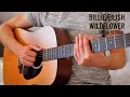 Billie eilish  wildflower easy guitar tutorial with chords  lyrics